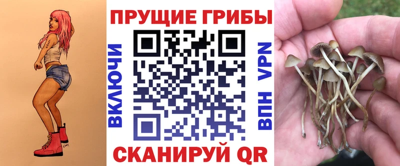 mega рабочий сайт  Нелидово  Псилоцибиновые грибы прущие грибы 